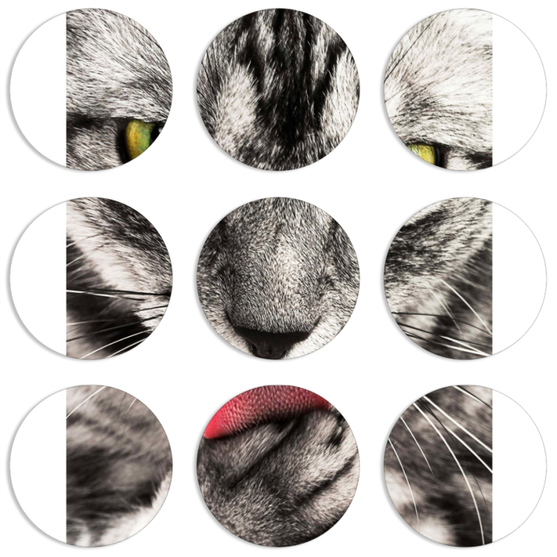 Магнитные фотопазлы круги d55 набор 9 штук 