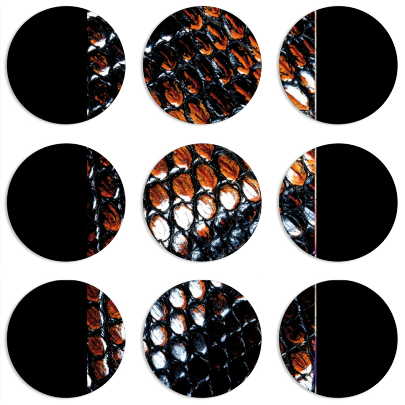 Магнитные фотопазлы круги d55 набор 9 штук 