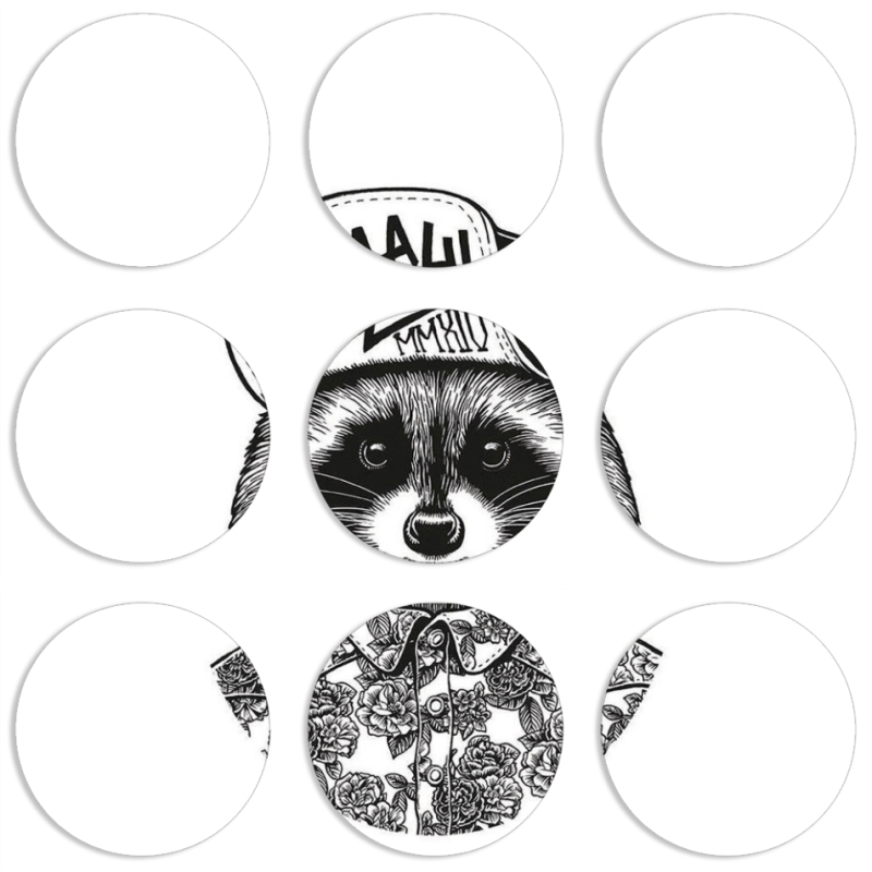 Магнитные фотопазлы круги d55 набор 9 штук 