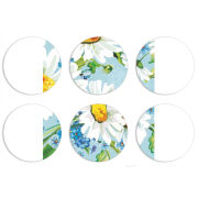 Магнитные фотопазлы круги d55 набор 6 штук 