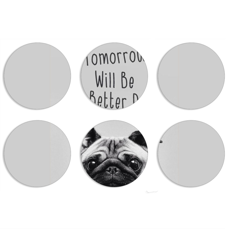 Магнитные фотопазлы круги d55 набор 6 штук 