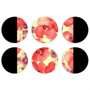 Магнитные фотопазлы круги d55 набор 6 штук 