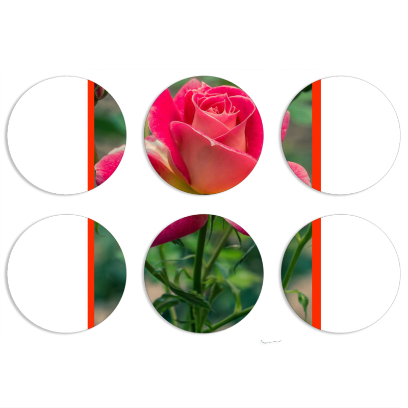 Магнитные фотопазлы круги d55 набор 6 штук 