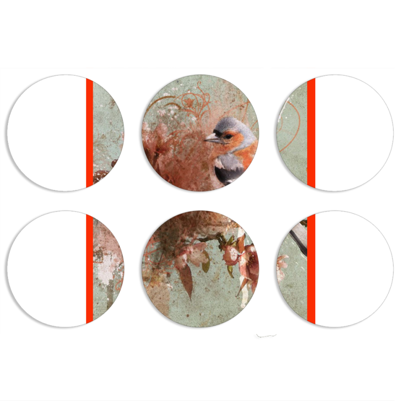 Магнитные фотопазлы круги d55 набор 6 штук 