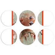 Магнитные фотопазлы круги d55 набор 6 штук 