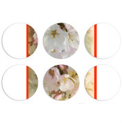 Магнитные фотопазлы круги d55 набор 6 штук 