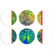 Магнитные фотопазлы круги d55 набор 6 штук 