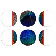 Магнитные фотопазлы круги d55 набор 6 штук 