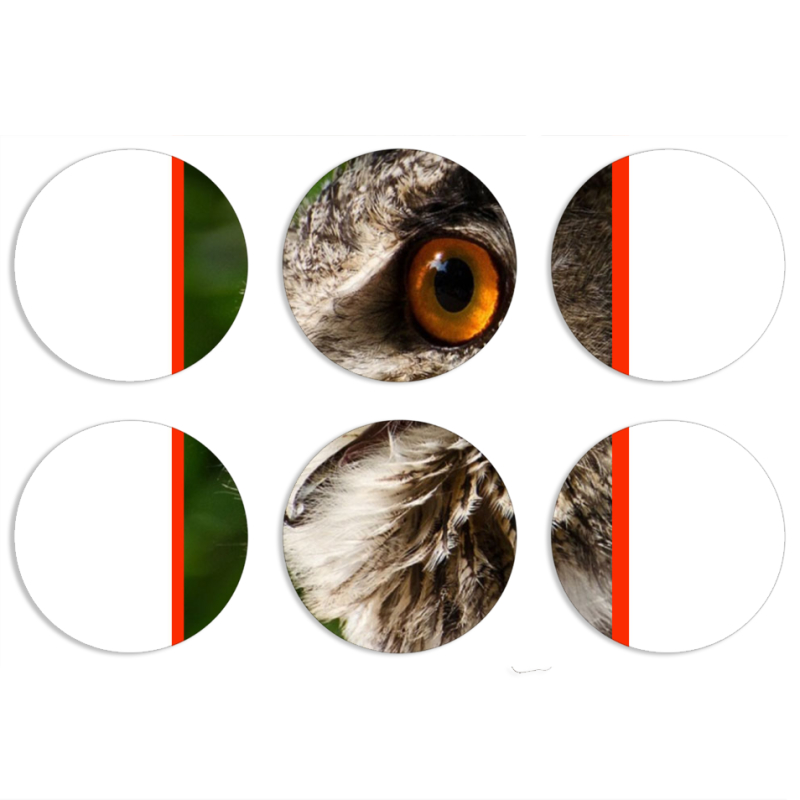 Магнитные фотопазлы круги d55 набор 6 штук 