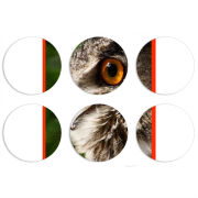 Магнитные фотопазлы круги d55 набор 6 штук 