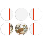 Магнитные фотопазлы круги d55 набор 6 штук 