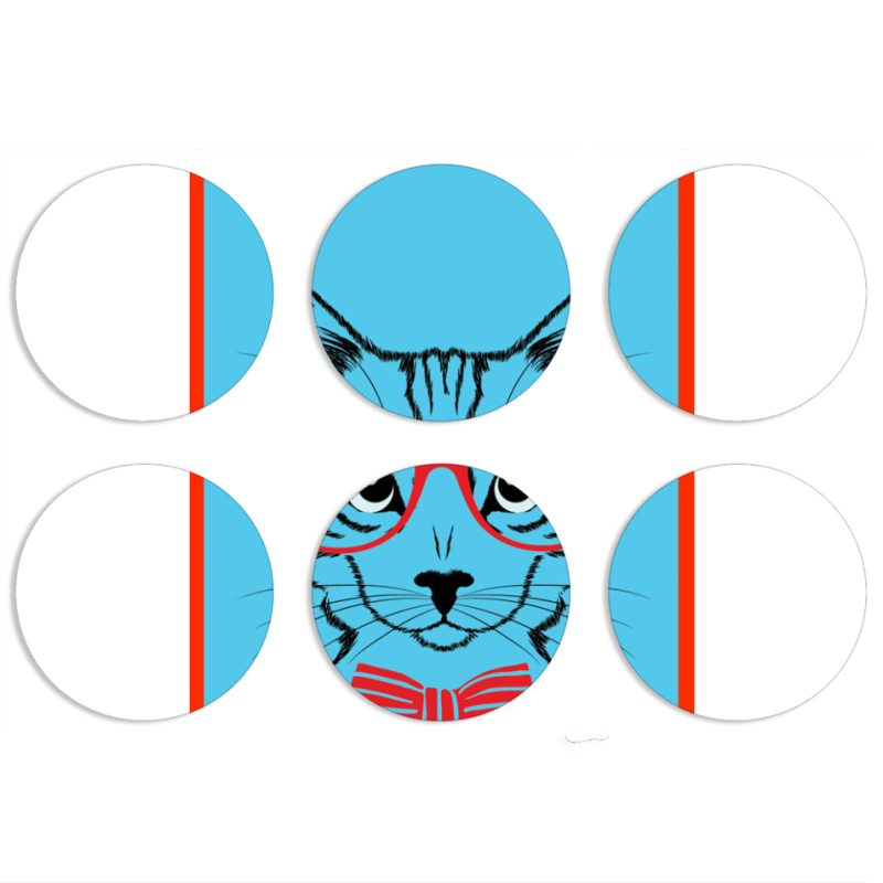 Магнитные фотопазлы круги d55 набор 6 штук 