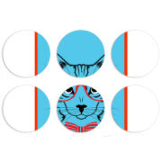 Магнитные фотопазлы круги d55 набор 6 штук 