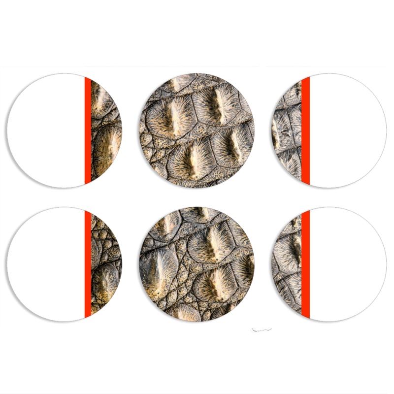 Магнитные фотопазлы круги d55 набор 6 штук 