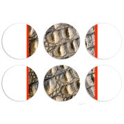 Магнитные фотопазлы круги d55 набор 6 штук 