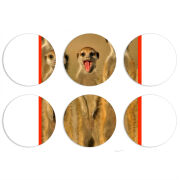 Магнитные фотопазлы круги d55 набор 6 штук 