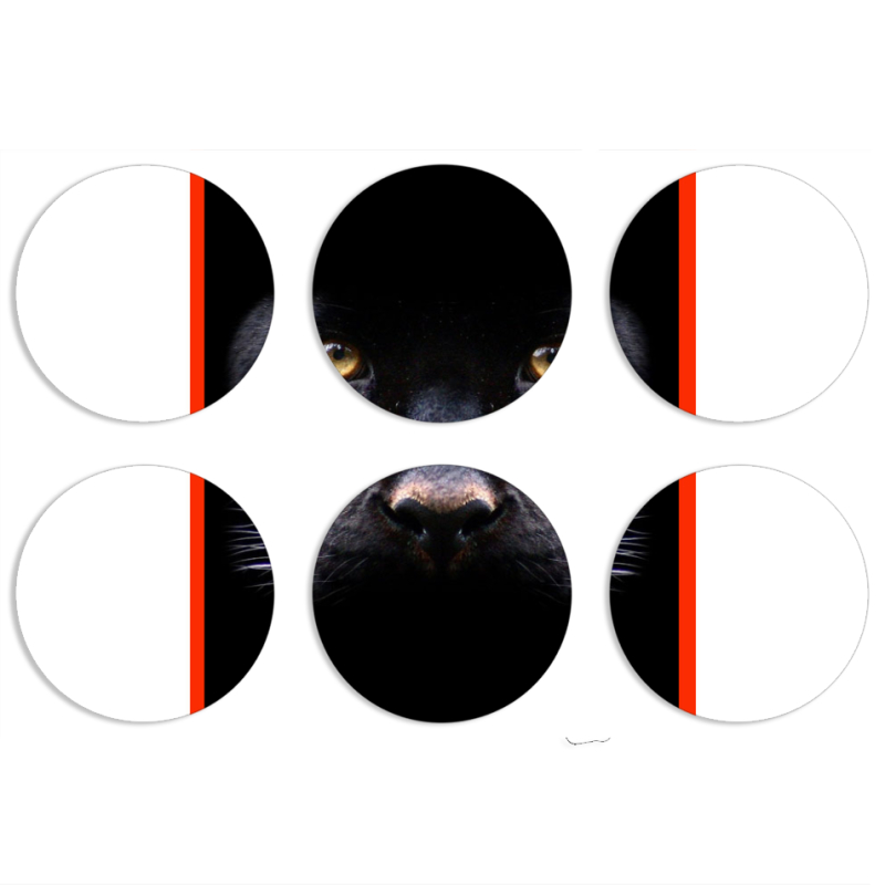 Магнитные фотопазлы круги d55 набор 6 штук 