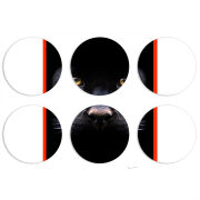 Магнитные фотопазлы круги d55 набор 6 штук 