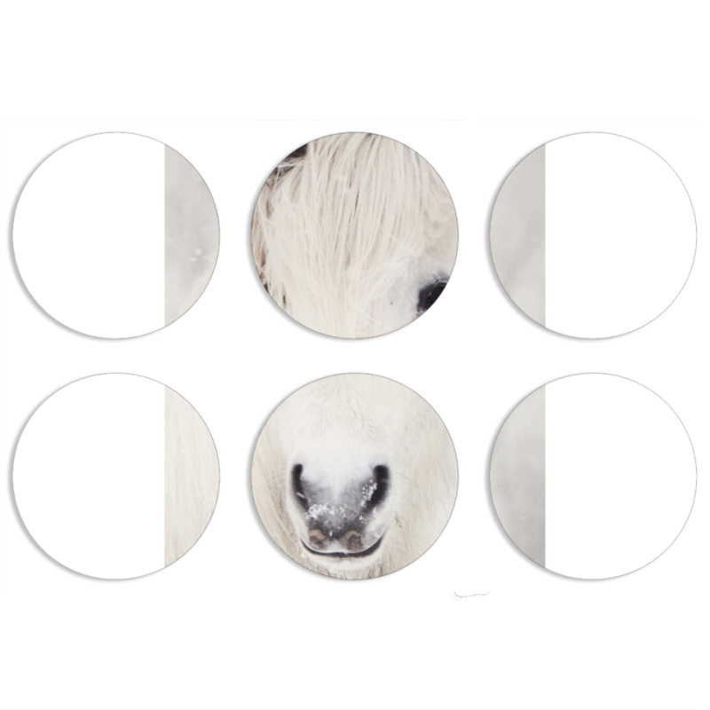 Магнитные фотопазлы круги d55 набор 6 штук 