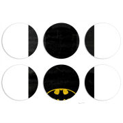 Магнитные фотопазлы круги d55 набор 6 штук 