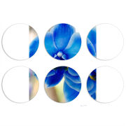 Магнитные фотопазлы круги d55 набор 6 штук 