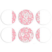 Магнитные фотопазлы круги d55 набор 6 штук 