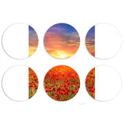 Магнитные фотопазлы круги d55 набор 6 штук 