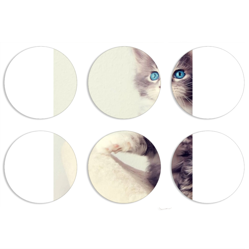 Магнитные фотопазлы круги d55 набор 6 штук 