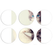 Магнитные фотопазлы круги d55 набор 6 штук 