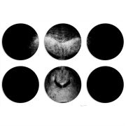 Магнитные фотопазлы круги d55 набор 6 штук 