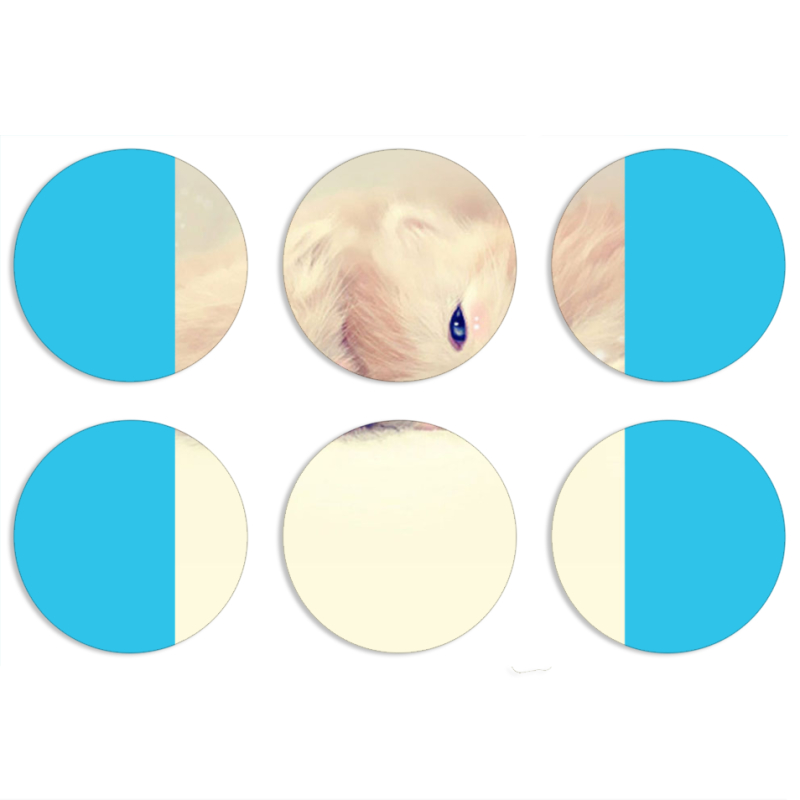 Магнитные фотопазлы круги d55 набор 6 штук 