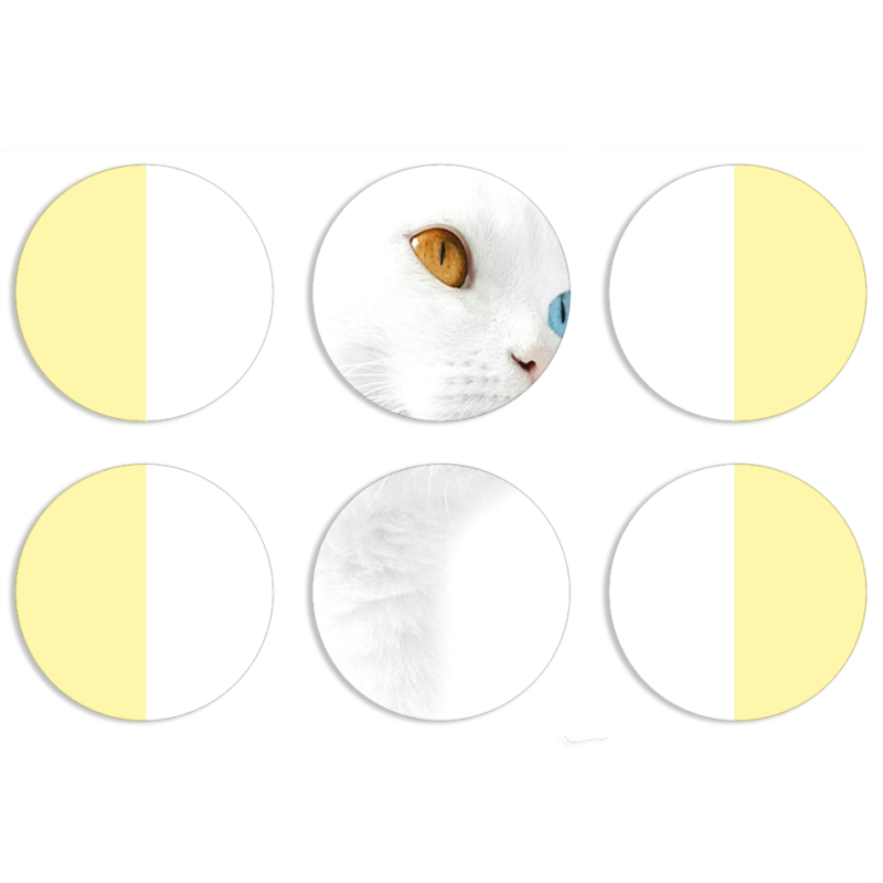 Магнитные фотопазлы круги d55 набор 6 штук 