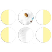 Магнитные фотопазлы круги d55 набор 6 штук 