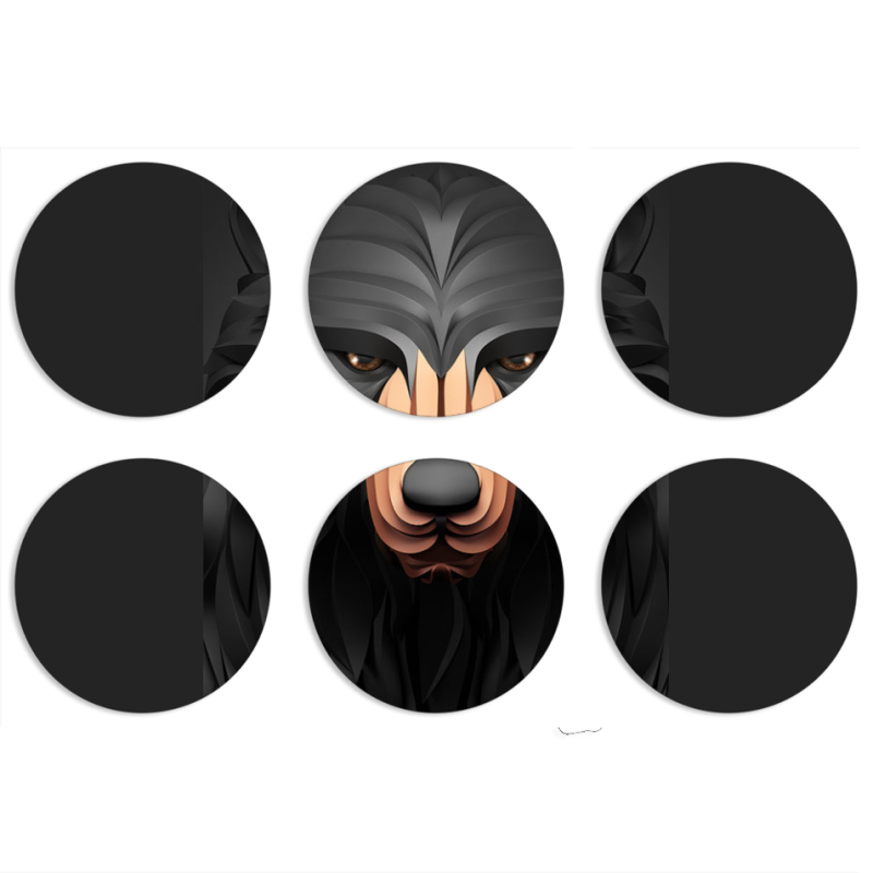 Магнитные фотопазлы круги d55 набор 6 штук 