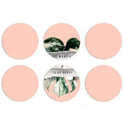 Магнитные фотопазлы круги d55 набор 6 штук 