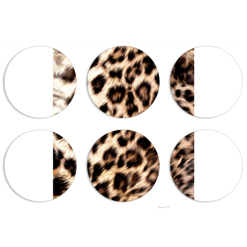 Магнитные фотопазлы круги d55 набор 6 штук 