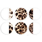 Магнитные фотопазлы круги d55 набор 6 штук 