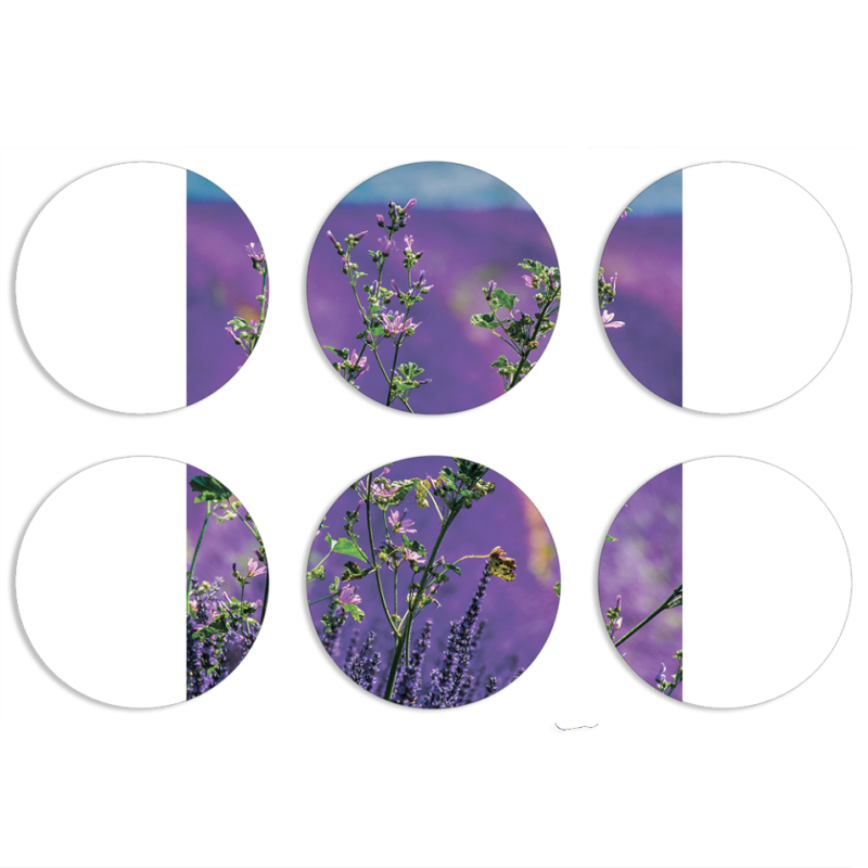 Магнитные фотопазлы круги d55 набор 6 штук Lavender Field