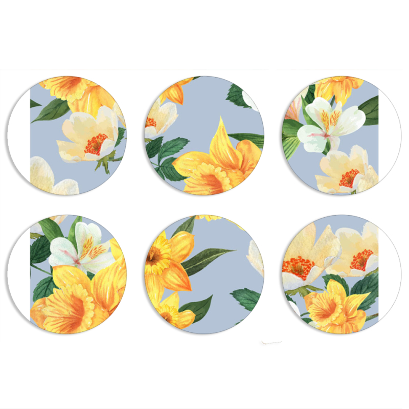 Магнитные фотопазлы круги d55 набор 6 штук 