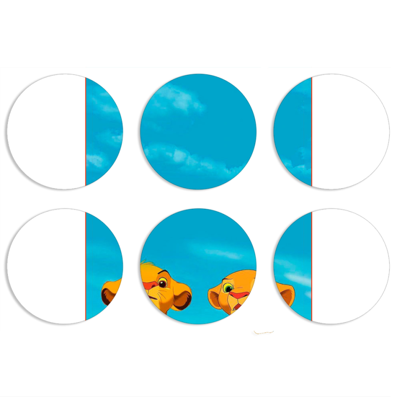 Магнитные фотопазлы круги d55 набор 6 штук 