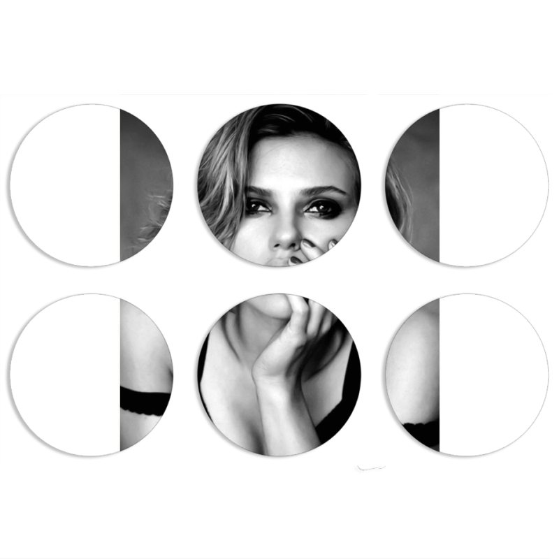 Магнитные фотопазлы круги d55 набор 6 штук 