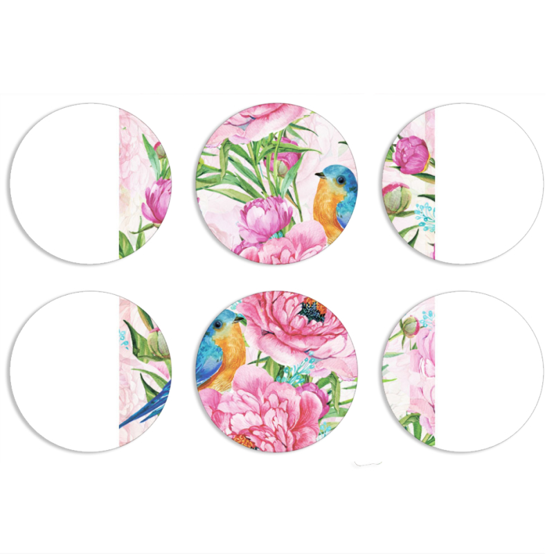 Магнитные фотопазлы круги d55 набор 6 штук Birds and Flowers