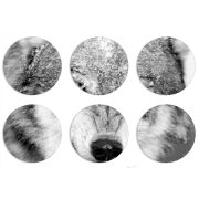 Магнитные фотопазлы круги d55 набор 6 штук 