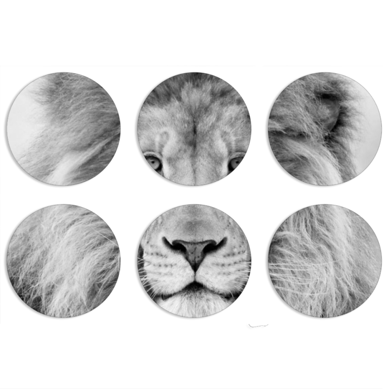 Магнитные фотопазлы круги d55 набор 6 штук 