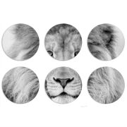 Магнитные фотопазлы круги d55 набор 6 штук 