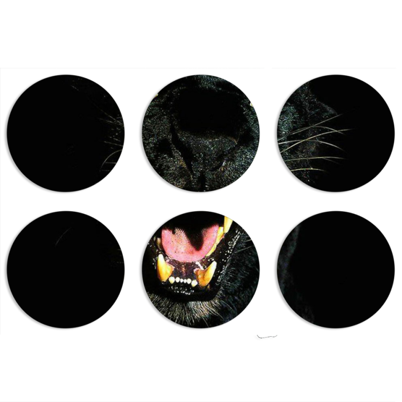 Магнитные фотопазлы круги d55 набор 6 штук 