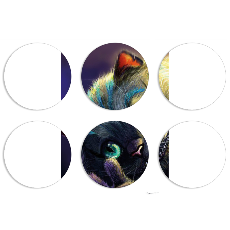 Магнитные фотопазлы круги d55 набор 6 штук Cheshire Cat