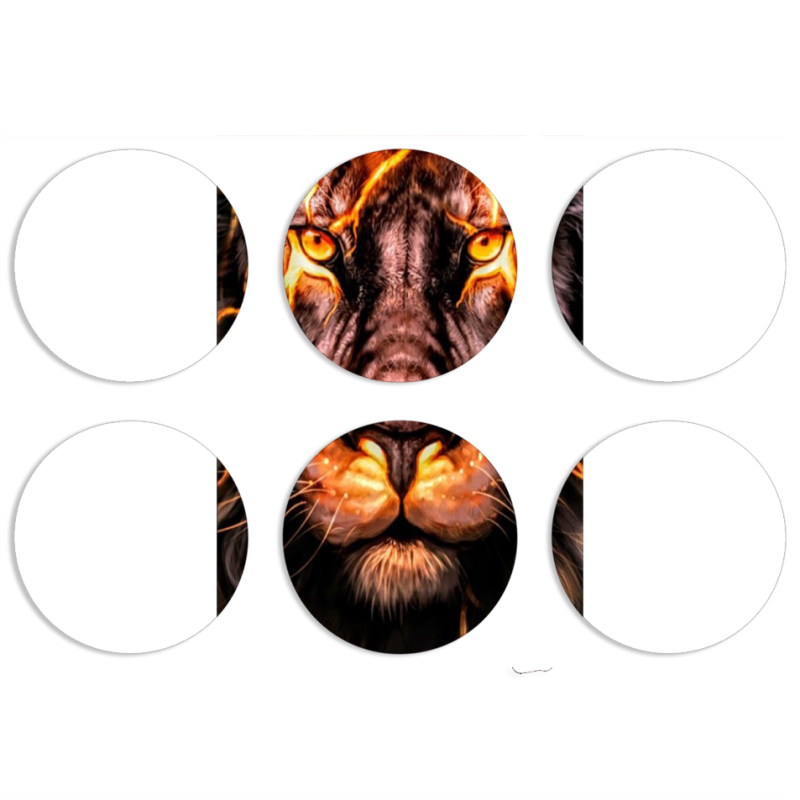 Магнитные фотопазлы круги d55 набор 6 штук Fire Lion