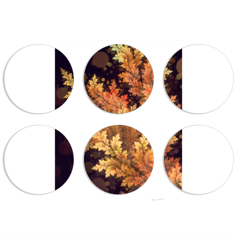 Магнитные фотопазлы круги d55 набор 6 штук 