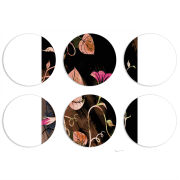 Магнитные фотопазлы круги d55 набор 6 штук 